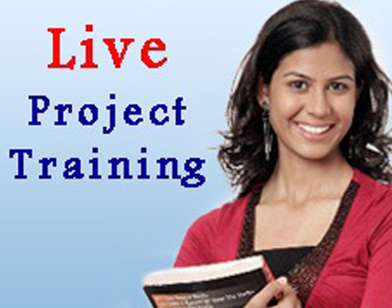Business Analysis Real Time Live Project Based Training