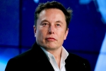 Elon Musk shares, Elon Musk for Tesla, after twitter poll elon musk sells 1 1 billion usd tesla stocks, Twitter news Elon Musk shares, Elon Musk for Tesla, after twitter poll elon musk sells 1 1 billion usd tesla stocks, Twitter news