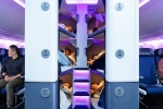 Air New Zealand Economy Flights, Air New Zealand Bunk Beds latest, air new zealand introduces bunk beds in economy flights, F3 rating