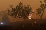file blazes, Australia, australia fires warnings of huge blazes ahead despite raining, Gta v