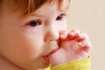 Watery eyes in Babies symptoms, Watery eyes in Babies disease, real causes does your baby have watery eyes, Common cold