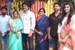 Bangarraju release date, Bangarraju shooting updates, nagarjuna s bangarraju gets its official launch, Prequel
