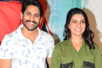 Naga Chaitanya next movie, Samantha, naga chaitanya and samantha to work together again, Majili