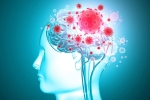 virus, headache, coronavirus is capable of affecting the brain study, Neurology