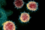 Coronavirus USA, Coronavirus new variants, face covid 26 and covid 32 warns experts, Coronavirus origin