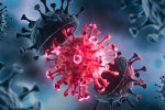 Coronavirus, USA Coronavirus updates, delta variant makes usa tensed again, Usa coronavirus new