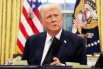 Donald Trump's Citizenship Order by Court, Donald Trump's Citizenship Order by Court, court blocks donald trump s citizenship order indefinitely, Green cards