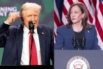 Kamala Harris, Donald Trump Vs Kamala Harris war, donald trump calls kamala harris is married to a jewish man, Cute babies