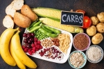 Too Many Carbs news, Too Many Carbs breaking, what happens if you eat too many carbs, Motion