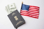 techies in Indian on h1b visas, h1b lottery results 2019, eliminate lottery system for h 1b visas say techies in india, H1b visas