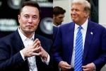 Elon Musk and Donald Trump spends, Elon Musk and Donald Trump budget, elon musk s big bet on donald trump, Nelson