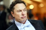 Elon Musk India visit latest breaking, Elon Musk India visit breaking updates, elon musk s india visit delayed, India and us
