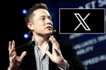 X subscription users, Twitter, elon musk announces that x would be paid for everyone, Elon musk