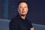 Elon Musk latest update, Elon Musk updates, elon musk talks about cage fight again, Pizza