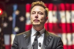 Donald Trump, Musk reply on social media, is elon musk in the trump cabinet, Fbi