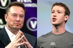 Elon Musk and Mark Zuckerberg flight, Elon Musk, elon vs zuckerberg mma fight ahead, Tech giants