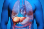 Fatty Liver in Youngsters tips, Fatty Liver in Youngsters, why is fatty liver affecting youngsters, Slow mo