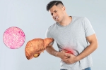Fatty Liver medication, Fatty Liver, fatty liver can be reversed in just one month, Burger