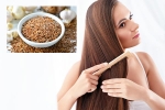 Flaxseeds, Flaxseeds, how flaxseeds can help for a long and healthy hair, Hair growth