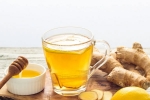 Ginger And Honey for lung health, Ginger And Honey breaking, ginger and honey benefits for lung health, Antioxidants