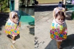 Halloween, people, halloween 2018 2 year old girl s creepy costume takes internet by storm, Halloween