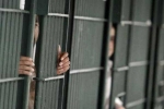 asylum, Border, over 2 300 indians in u s jails for illegal crossing of border report, Punjabis