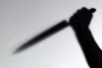 Indian-origin news, Indian-origin woman and her son killed in New Jersey, indian origin woman and her son killed in new jersey, V hanumantha rao
