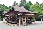 Japan Viral Mikami Shrine breaking news, Japan Viral Mikami Shrine viral, why are travellers flocking to japan s viral mikami shrine, Video