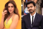 Kriti Sanon next film, Kriti Sanon with Vamshi Paidipally, kriti sanon to romance vijay in his next, 1 nenokkadine