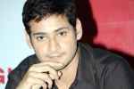 Trivikram Srinivas, Mahesh Babu, mahesh reveals his next projects, Newyear