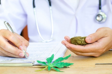 Florida To Implement Medical Marijuana Without Lawmakers Input