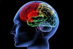 Iowa State University, Iowa State University, brain use it or lose it, Alzheimer s disease