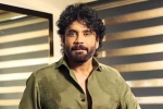 Nagarjuna Personal Rights, Nagarjuna Personal Rights new updates, delhi high on nagarjuna s personal rights, Actress