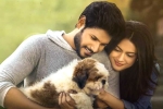 Sundeep Kishan movie review, Ninu Veedani Needanu Nene review, ninu veedani needanu nene movie review rating story cast and crew, Ninu veedani needanu nene rating