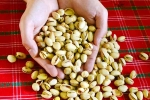 Pistachios medication, Pistachios updates, pistachios are a perfect protein snack, Love