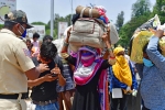 migrant workers, covid-19, plight of migrant workers baby shakes to wake up deceased mother, Toddler