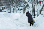 polar vortex forecast, Polar Vortex in US midwest, polar vortex extreme colds hits u s midwest 21 killed, South dakota