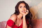 Pooja Hegde new film, Pooja Hegde, pooja hegde in talks for a biggie, Siddharth roy kapur