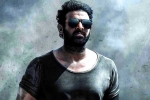 Prabhas news, Prabhas updates, prabhas salaar to have malayalam star, Shruthi haasan Prabhas news, Prabhas updates, prabhas salaar to have malayalam star, Shruthi haasan