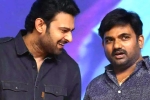 Prabhas and Maruthi film breaking news, Prabhas and Maruthi film, new title for prabhas and maruthi film, Nidhhi agerwal