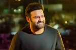 Prabhas, Shruti Haasan, prabhas back to the sets of salaar, Indian actors