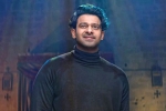 Prabhas out of shape, Prabhas latest updates, prabhas struggling to cut down his weight, Prabhas weight