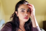 Priyanka Chopra Don't Look For Virgin Wife, Don't Look For Virgin Wife statement, priyanka chopra breaks silence on don t look for virgin wife comment, Ssmb29