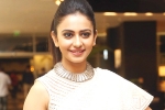 Rakul Preet Singh, Dil Raju, rakul preet s multi starrer, Actress rakul preet singh