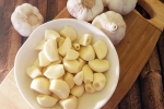 Raw Garlic and Blood Pressure updates, Raw Garlic and Blood Pressure latest news, does eating raw garlic help with high blood pressure, Love Raw Garlic and Blood Pressure updates, Raw Garlic and Blood Pressure latest news, does eating raw garlic help with high blood pressure, Love