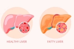 How to Reverse Grade 2 Fatty Liver?