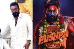 Mythri Movie Makers, Pushpa: The Rule release date, sanjay dutt s surprise in pushpa the rule, Rashmika mandanna