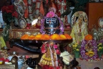 Events in Florida a, Florida a Current Events, hsnef maha shiv ratri celebrations, Bhajans