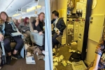 Singapore Airlines turbulence horror videos, Singapore Airlines from London, one dead and 30 injured in singapore airlines turbulence horror, Singapore airlines