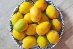 Soak Mangoes latest, Soak Mangoes before eating, soak mangoes for 30 minutes before eating, Mangoes